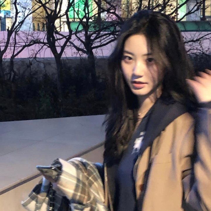 白鹭